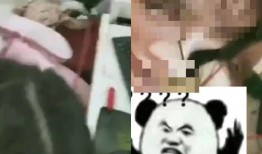 吃东西的视频爆料大全,视频爆料大全带你领略各式佳肴风采