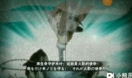 火影水门最新爆料视频,神秘力量觉醒，忍者世界风云再起